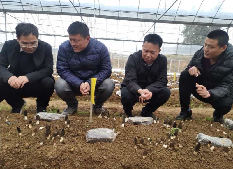 TIM图片20200506162756